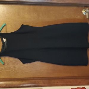 J Crew Sleeveless Lined Black Dress 6